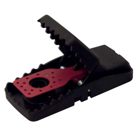 Osd gruppo Ecotech srl